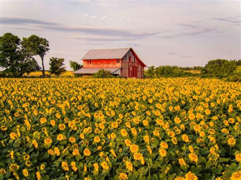 farming pictures|pretty farm pictures for wallpaper.